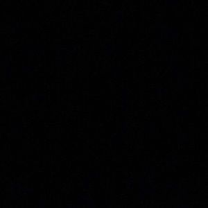 Meet your Posher, Shirley